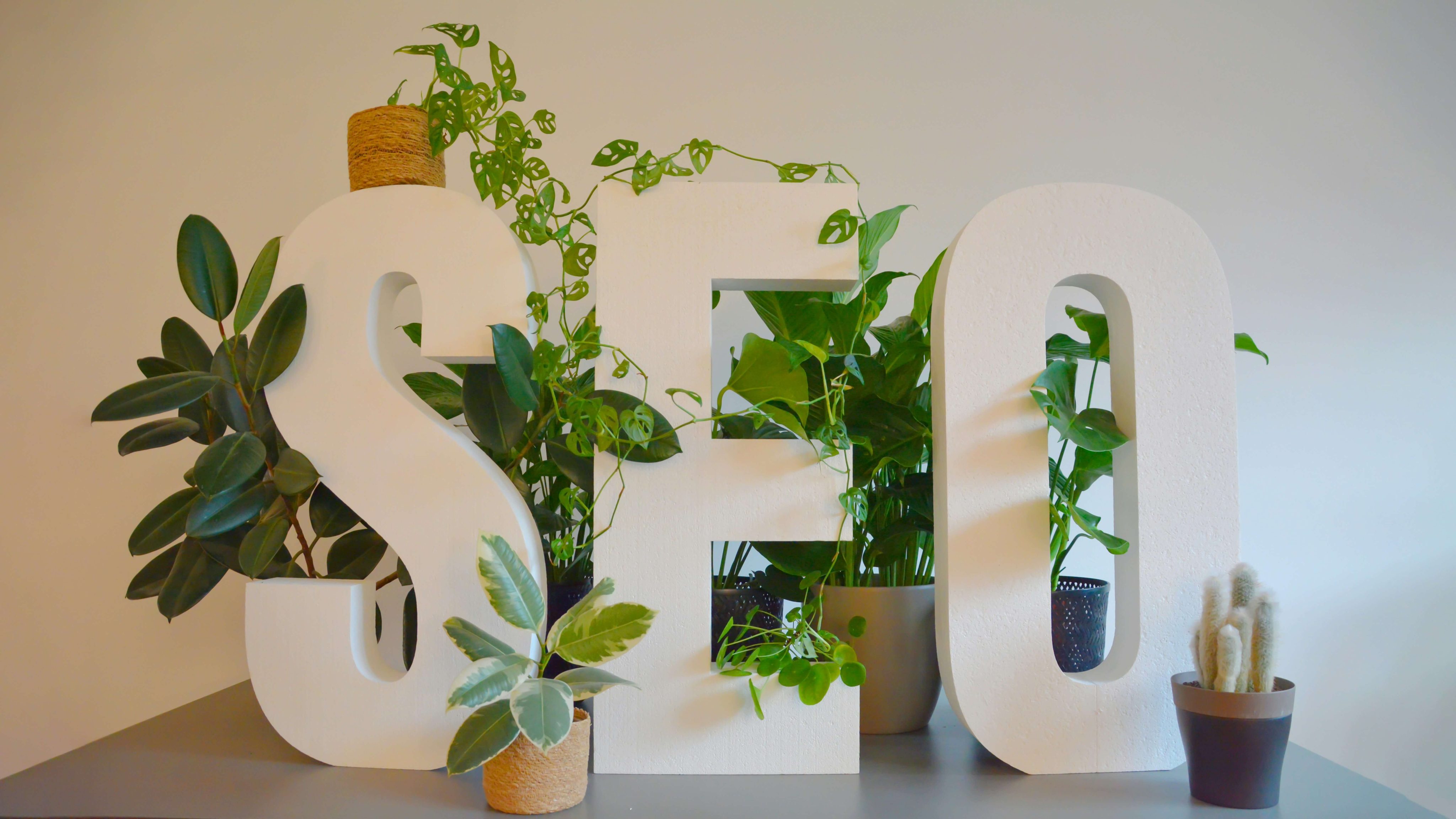 Why a Freelancer Is the Cheaper Option Compared to an Agency for SEO Services