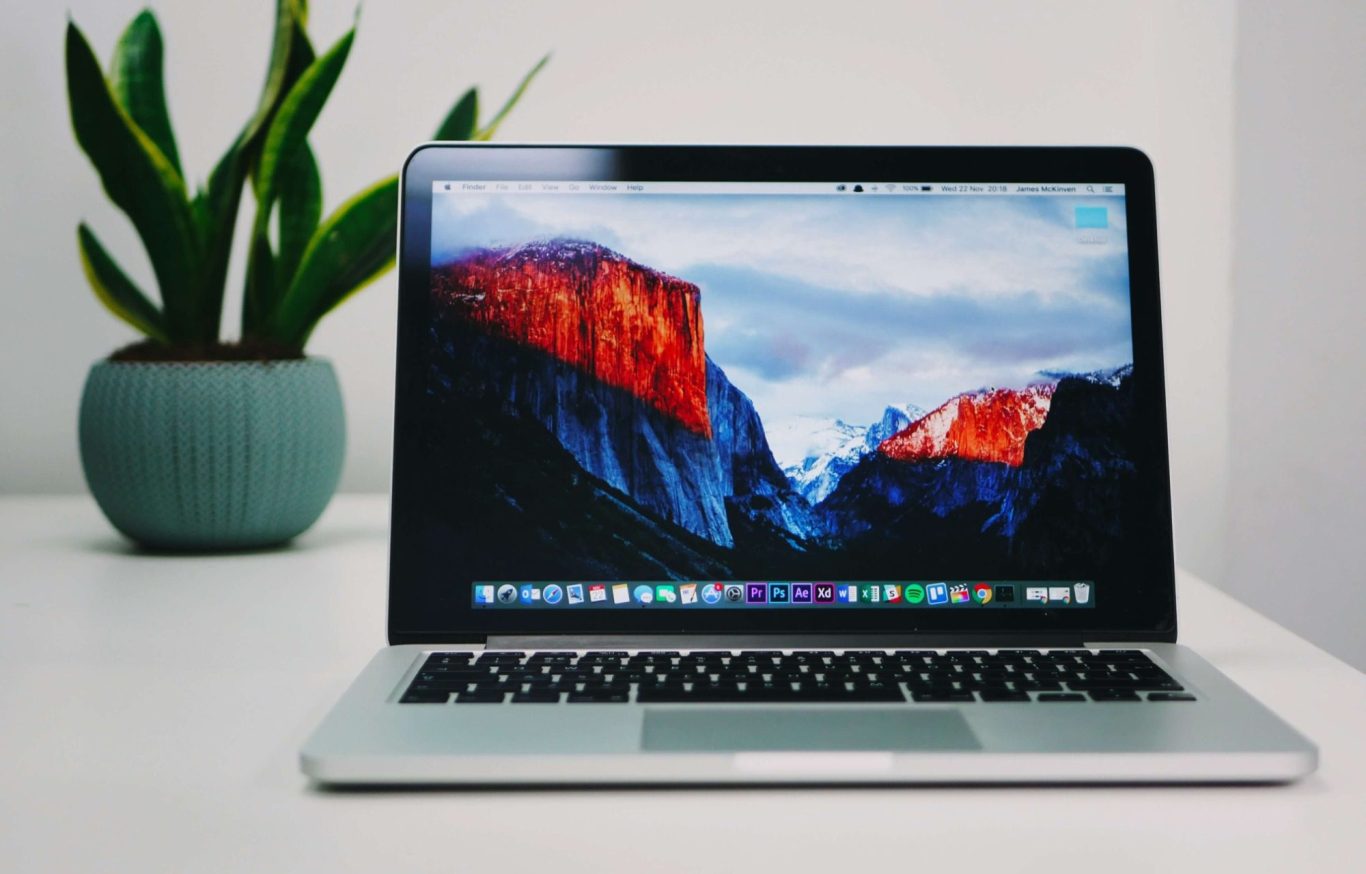 Laptop on a table with a potted plant in the background.
